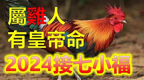 屬雞的年次|屬雞今年幾歲？2024屬雞生肖年齡對照表！屬雞性格特質